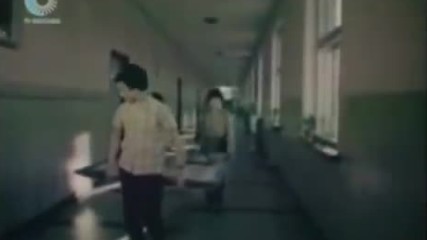 Войната на таралежите, 1979 г. (откъс)