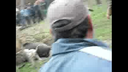 Gater
