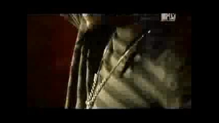 Chocolate Puma - Always and Forever