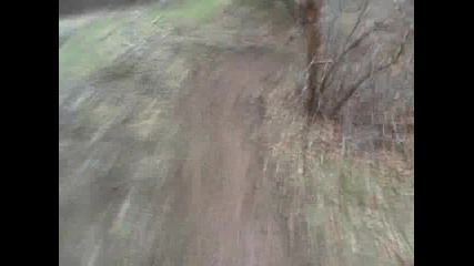 Lambert Park