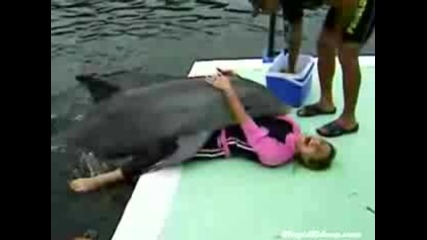 Делфин Се Възползва От Мацка !!