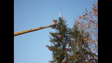 Christmas Lights 1