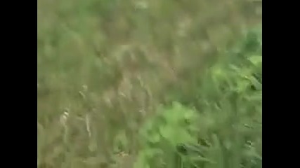 Мотор [ инцидент ] 10