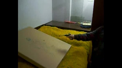 Тест На Пистолет Срещу Насекоми.
