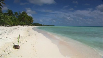 Chill Out - The Lagoon