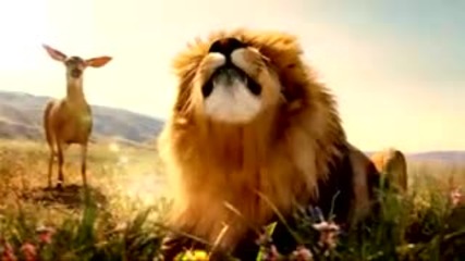 Пеещи животни - Animals singing 