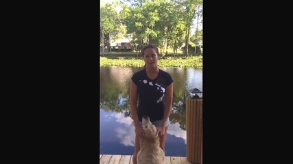 24 hour cold water challenge! Handstand back flip, girl and a dog!