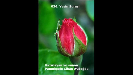 036 - Yasin Suresi - Kurani Kerim