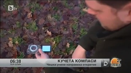 Кучета компаси