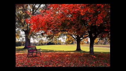 Secret Garden - The Promise