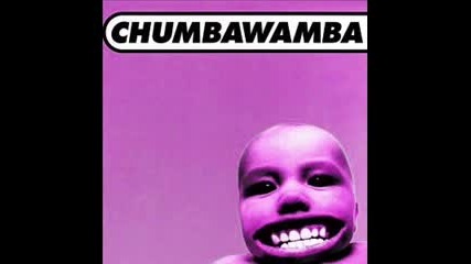 Chumbawamba - Tubthumping ( I Get Knocked Down )