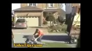 Скачать алёна даст музыка Скачать алёна даст музыка