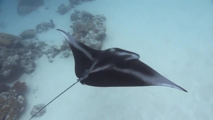 Ocean 1 of 2 1080p Hd