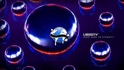 Paul van Dyk Ft. Adam Young - Eternity (camo & Krooked Remix)