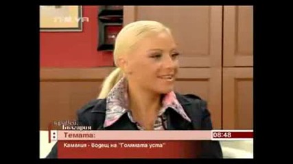 Камелия в Здравей България