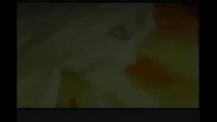 bleach opening 7 after dark by akfg(full) amv