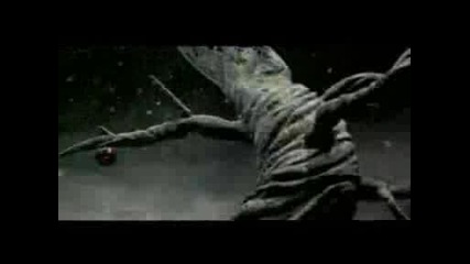 Rammstein - Sonne