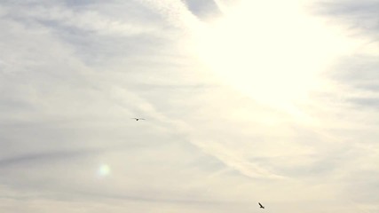360 - Mr. Blue Sky