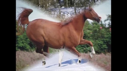kone