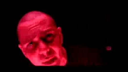 Pitbull ft. Picaal - Dammit Man 