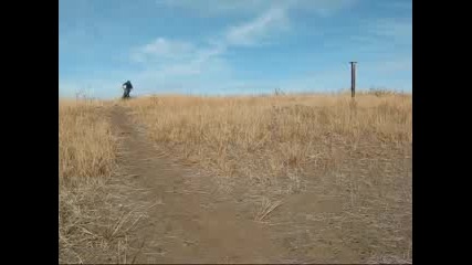 The Straight Line