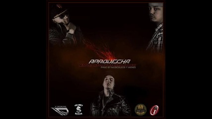 Daddy Yankee ft. Nova & Jory - Aprovecha