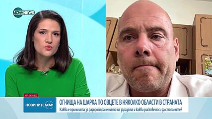 Около 100 огнища на шарка по дребните преживни животни у нас, над 10 000 унищожени