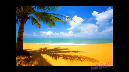 .[ - House - Music - ].