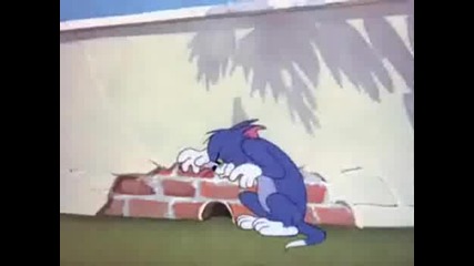 Tom And Jerry - Това Е Моето Кутре