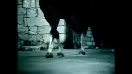 The Brilliant Music -
