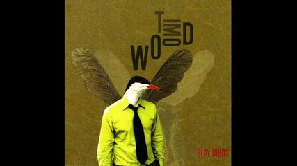 Tim Wood - Birdy Nam Nam 
