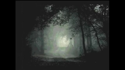 Reflexion - Journey To Tragedy