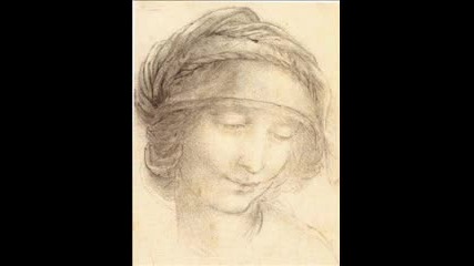 Leonardo Da Vinci Sketches Drawings