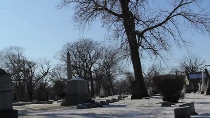Hi Money - Freeze / All Alone