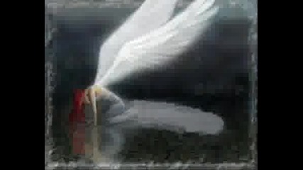 Draconian - Bloodflower