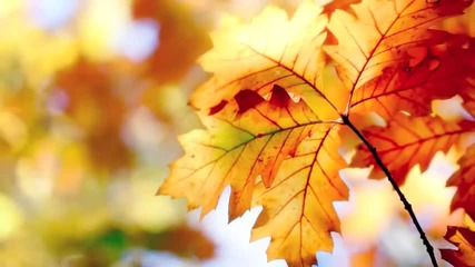 Concerto D Autunno - Claudio Villa