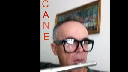 Cane Nikolovski - flute -aint No Sunshine