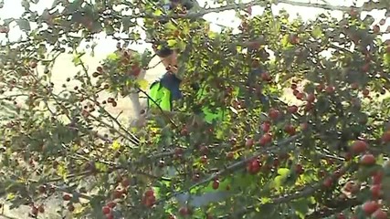 Полицаят и мутрата!