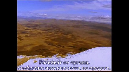 The Human Body - Life Story - 1 / 2 