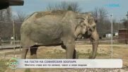Педикюр на слонове | На кафе | 18 мар. 2026