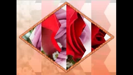 паша христова - българска роза 