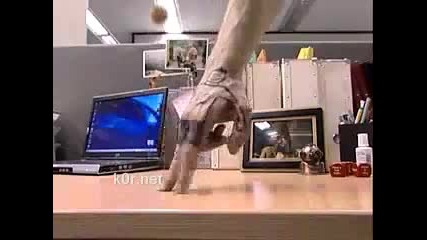 Fingerskills