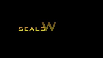 Seal Swcc Class 272 