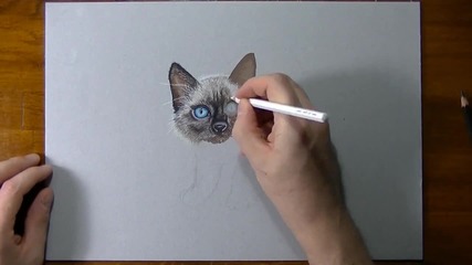 Страхотна рисунка на котка!
