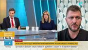 Аржентински слънчоглед тревожи българските зърнопроизводители