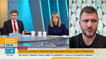 Аржентински слънчоглед тревожи българските зърнопроизводители
