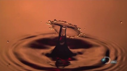 Time Warp - Вода