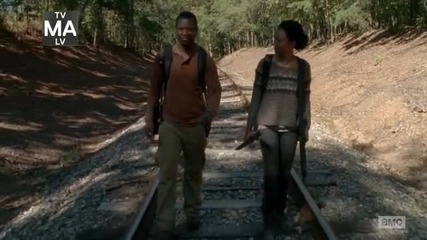 The walking dead S4 E13