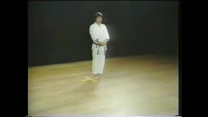 Karate kata - Bassai dai