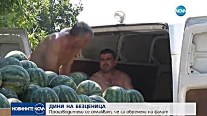 Дините от Любимец на път да изчезнат от пазара